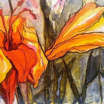 grafika  "Iris"